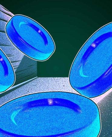 ADA Hits Lowest Level Since August Is Recovery Possible