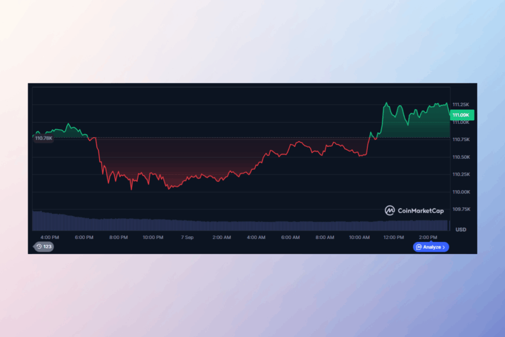 BTC Price Tumbles: Is the Bull Run Officially Over?