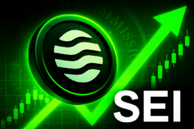 SEI Turns Bullish After SEC Acknowledges ETF Filing
