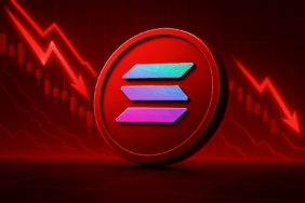 Solana Eyes $193 Support as Bears Gain Control