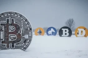 Crypto Winter