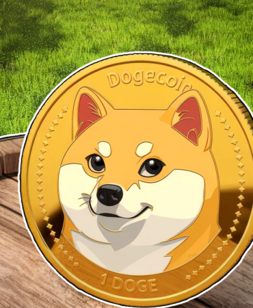 DOGE Whales Fuel Price Spike Can It Sustain Momentum