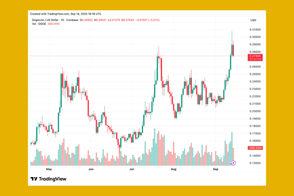 DOGE Whales Fuel Price Spike: Key Levels to Watch After $0.30 Rally