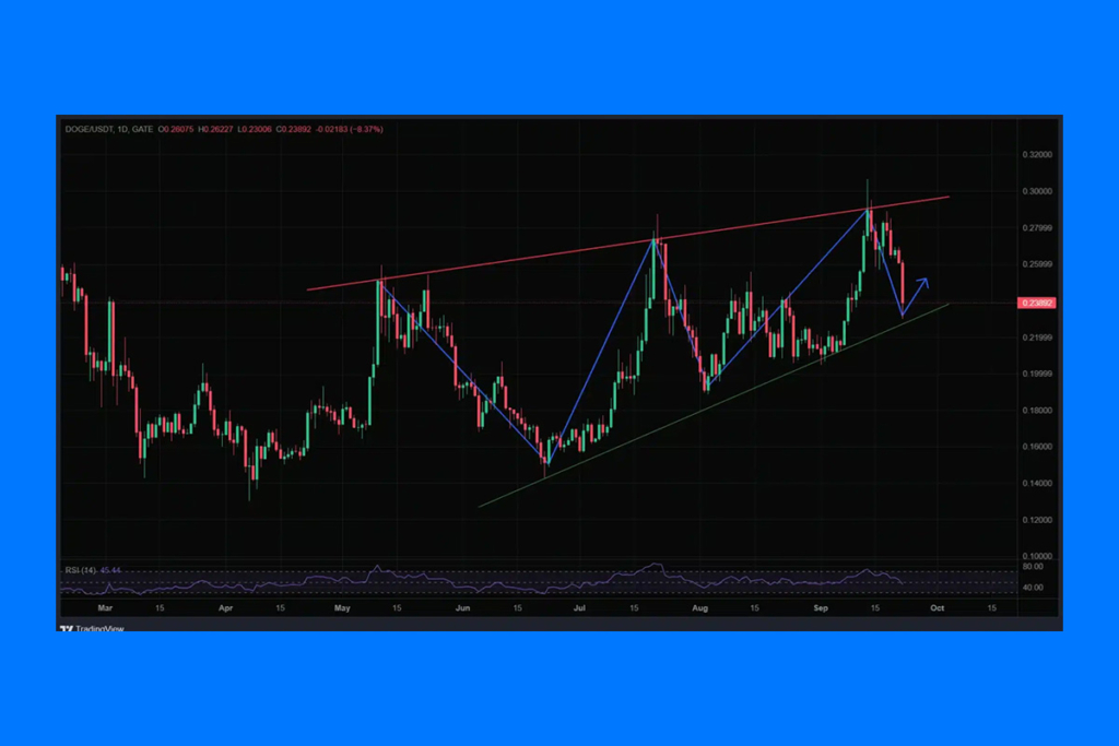 Dogecoin Eyes Major Surge as $0.31 Resistance Breaks
