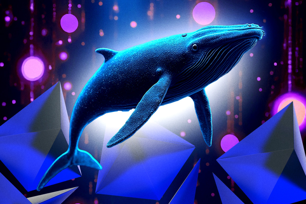 Ether Whales Make Massive Move Is a Bull Run Coming