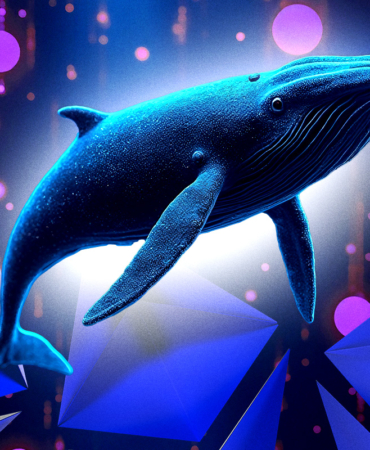 Ether Whales Make Massive Move Is a Bull Run Coming