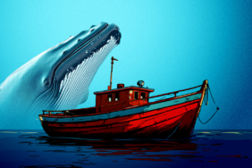 Nakamoto CEO Bitcoin Rally Delayed by Whales