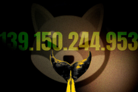 SHIB Whales Are Making Moves Could a Massive Upswing Be Coming