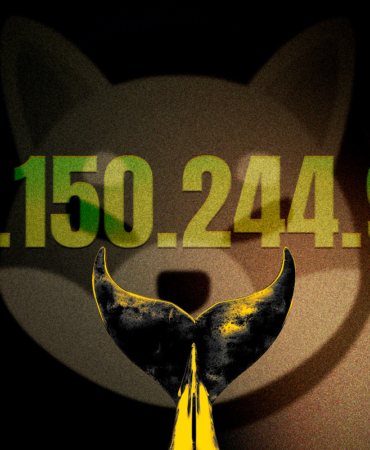 SHIB Whales Are Making Moves Could a Massive Upswing Be Coming