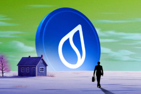 SUI Price Under Pressure Traders Sound Alarm!