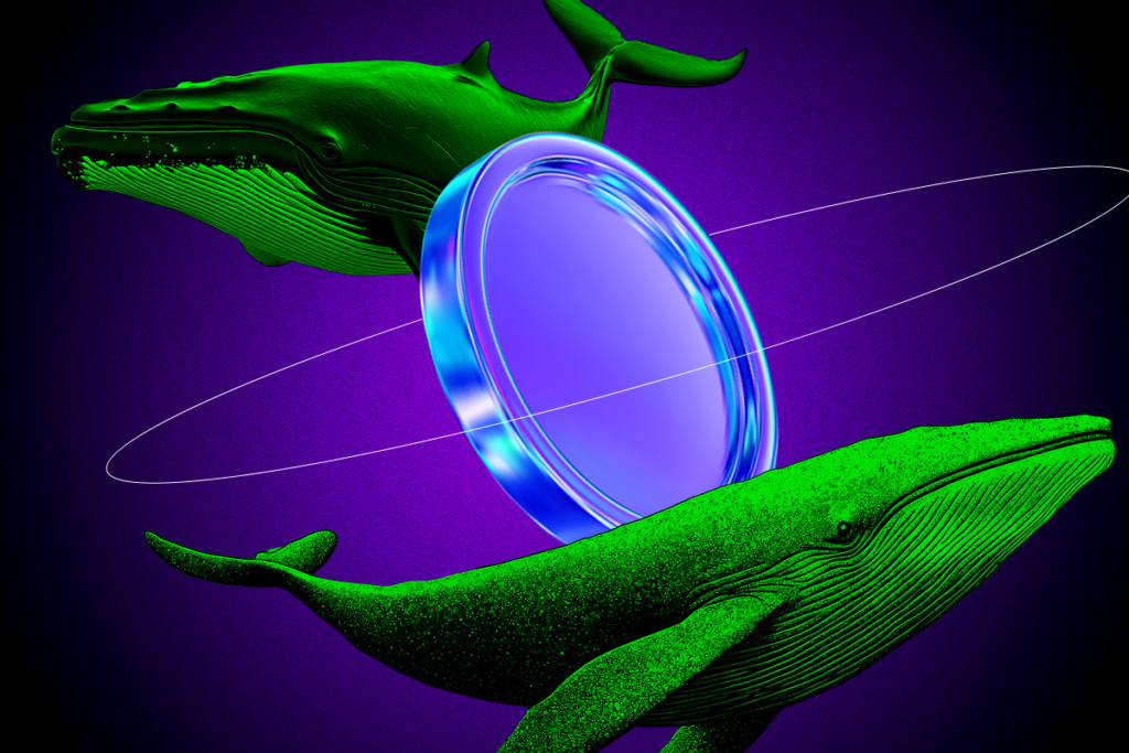 These 3 Altcoins See Huge Whale Accumulation Is This the Start of a Bullish Wave