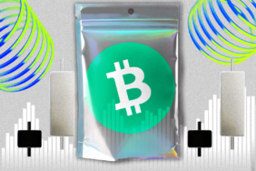 Top Performer Alert Bitcoin Cash Rises as BTC Faces Resistance