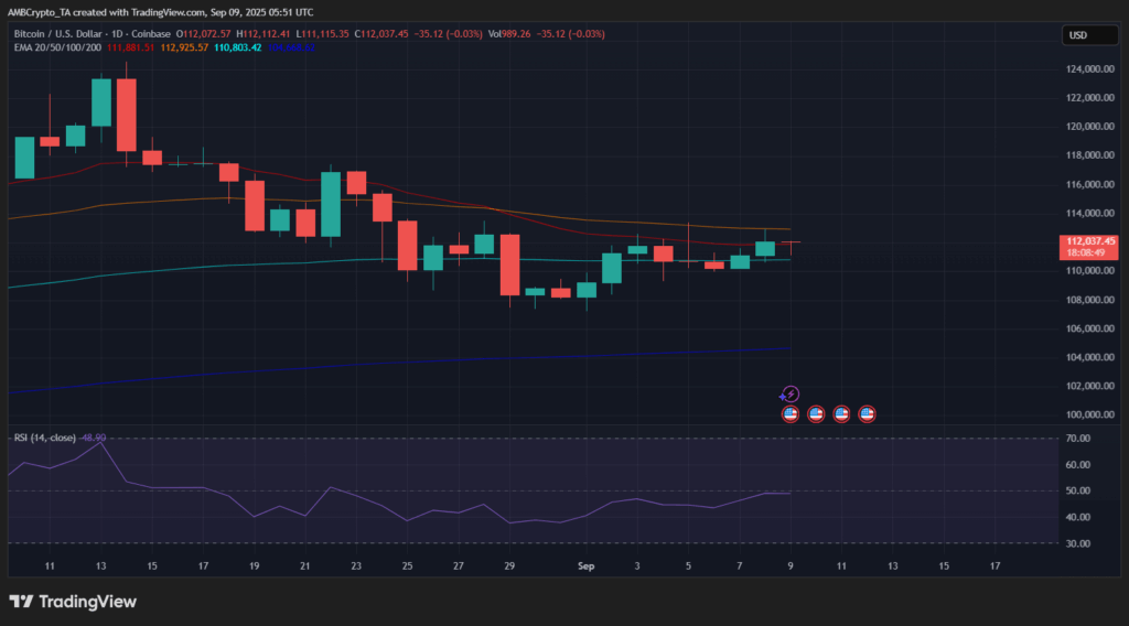 Bitcoin Struggles Near $112K Amid Declining Whale Activity