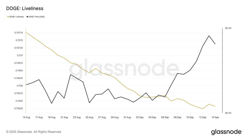 Dogecoin Hodling Signals Strong Conviction Among Long-Term Investors