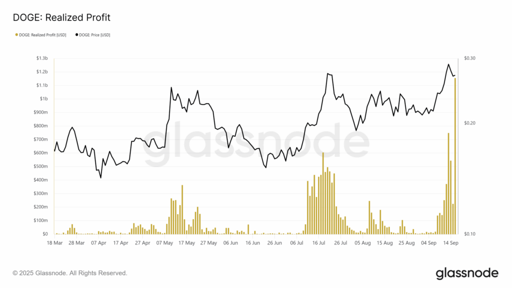 Dogecoin’s Q4 Outlook: CleanCore’s Role in Market Dynamics