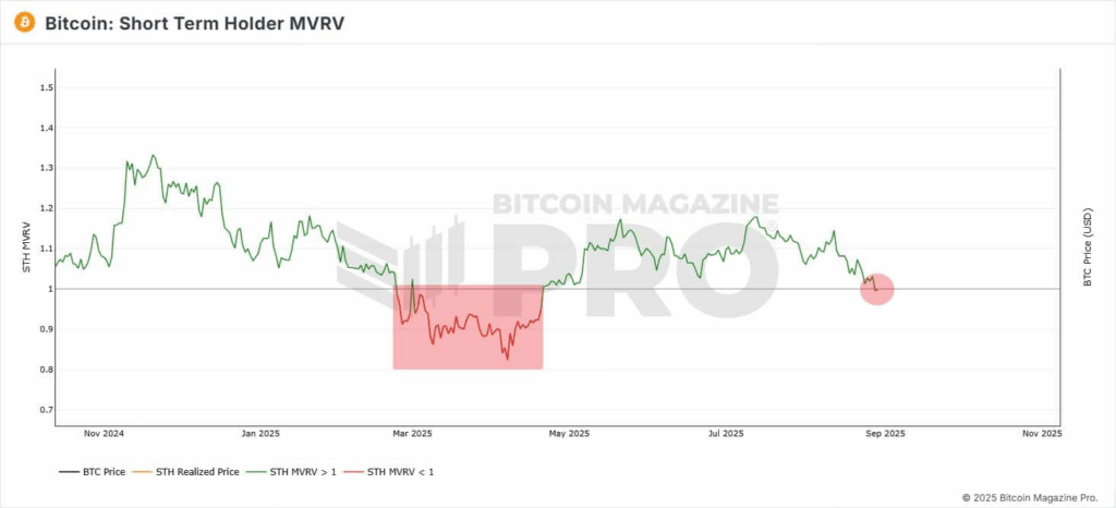 Bitcoin Struggles Below $110K as Short-Term Holders Capitulate