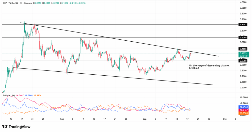 XRP Tests Resistance as Whale Inflows Stir Short-Term Uncertainty