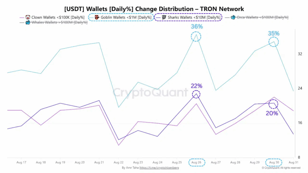 Tron Leads Blockchain Activity as USDT Transfers Surge