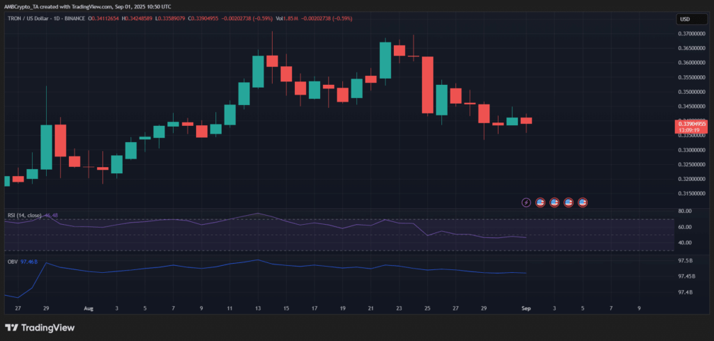 Tron Leads Blockchain Activity as USDT Transfers Surge