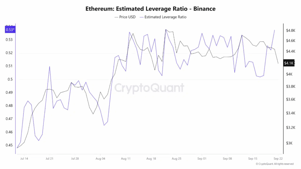 Ethereum’s Rising Treasury Holdings Amid Increasing Market Leverage