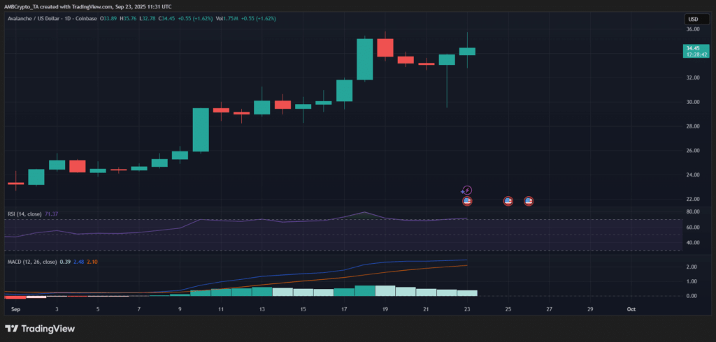 Avalanche (AVAX) Gains Attention as Whale Activity Increases