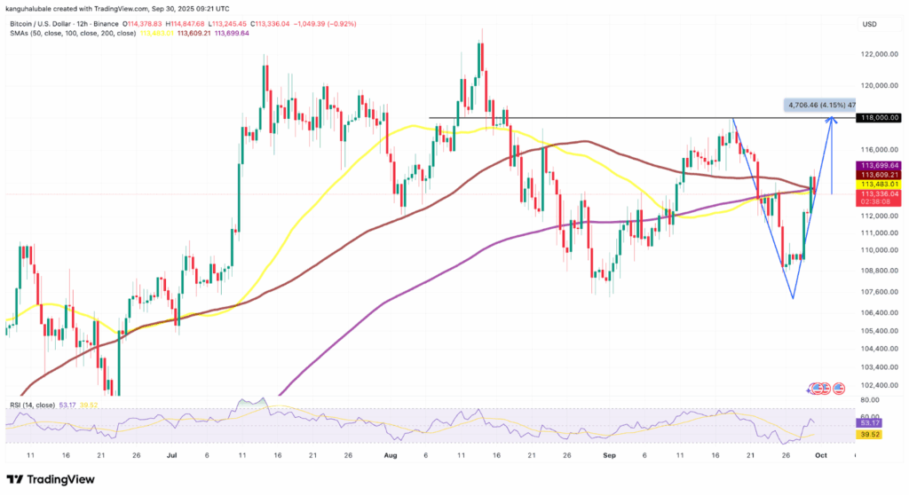 Is Bitcoin Bottoming Out? On-Chain Metrics and Price Patterns Suggest So