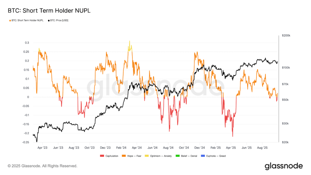 Is Bitcoin Bottoming Out? On-Chain Metrics and Price Patterns Suggest So
