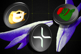 Will Powell Crash the Crypto Market? Whales Bet Big on Short Positions