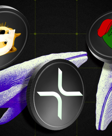 Will Powell Crash the Crypto Market? Whales Bet Big on Short Positions