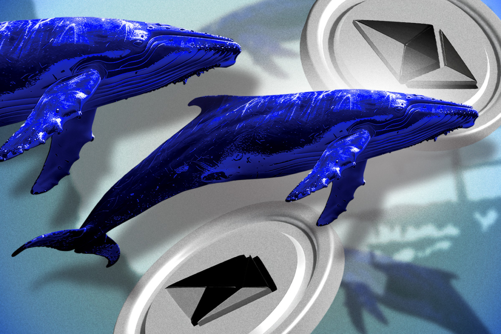 Ethereum Whales Accumulate as Exchange Reserves Hit Yearly Lows