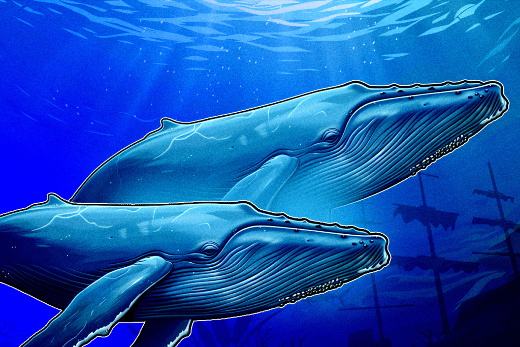 How Crypto Whales Capitalized on the Volatility Following Trump’s China Tariffs