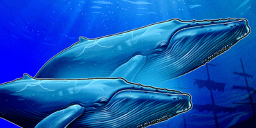 How Crypto Whales Capitalized on the Volatility Following Trump’s China Tariffs