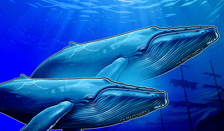 How Crypto Whales Capitalized on the Volatility Following Trump’s China Tariffs