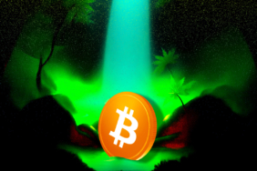 Bitcoin Price Volatility Surges After $19 Billion in Liquidations