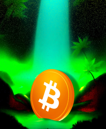 Bitcoin Price Volatility Surges After $19 Billion in Liquidations