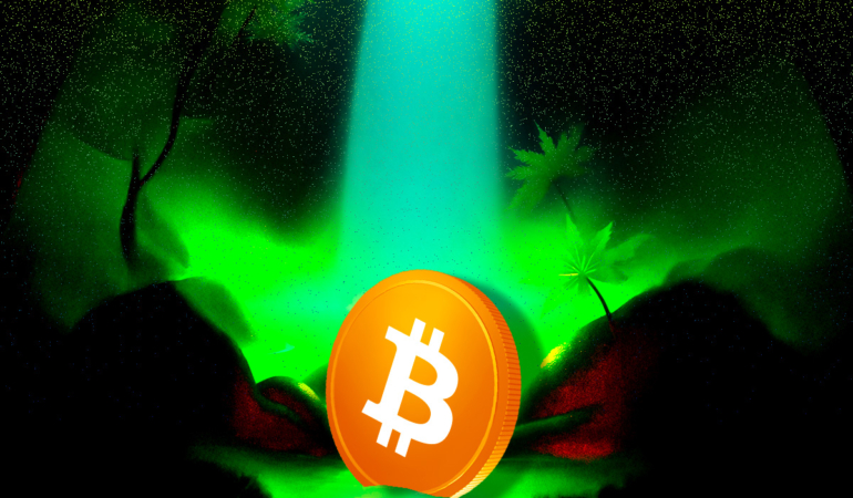 Bitcoin Price Volatility Surges After $19 Billion in Liquidations