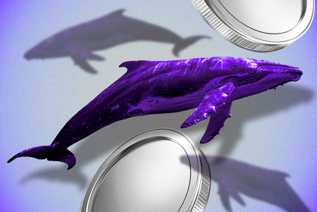 Crypto Whales Spark Market Moves: BTC, ETH, and ENA See Diverging Bets Amid Volatility