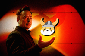 Elon Musk Sends Floki Flying With New xAI-Generated Dog CEO Video