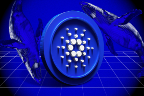 Cardano Price Analysis: Will ADA Break Out of the $0.64–$0.67 Range?