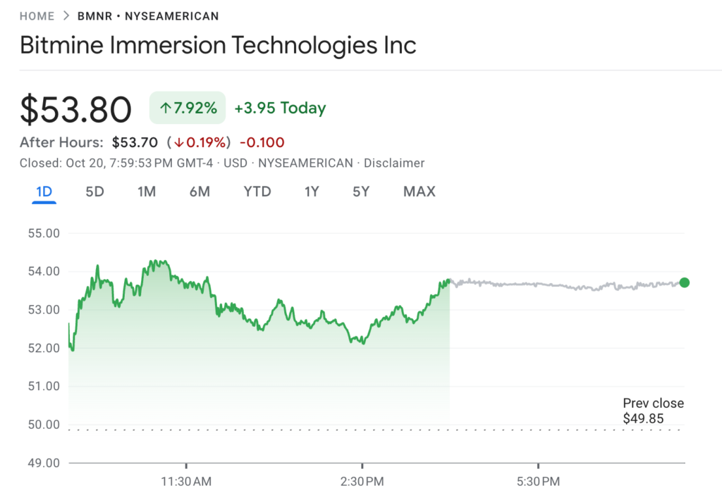 BitMine and Strategy Seize Crypto Crash as Buying Opportunity