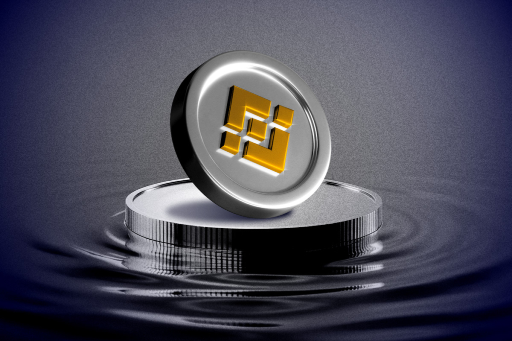 BNB’s Epic Rally The Unseen Forces Behind the Surge