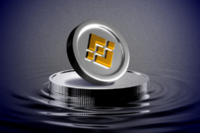 BNB’s Epic Rally The Unseen Forces Behind the Surge