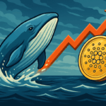 Calm Before the Storm Whales Return to Cardano