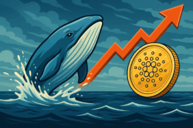 Calm Before the Storm Whales Return to Cardano