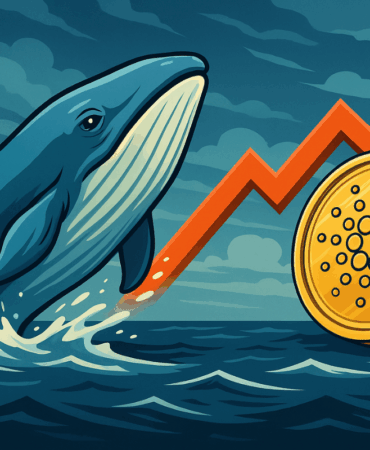 Calm Before the Storm Whales Return to Cardano