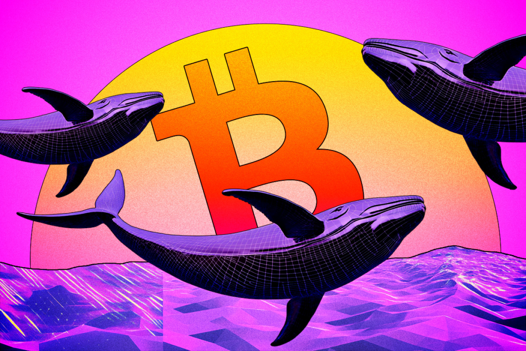 Crypto Whale’s Massive Short Positions Could Shake Bitcoin Market
