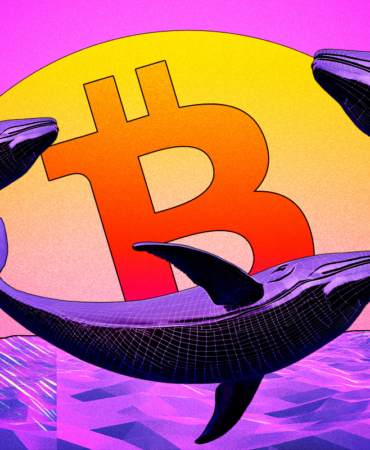Crypto Whale’s Massive Short Positions Could Shake Bitcoin Market