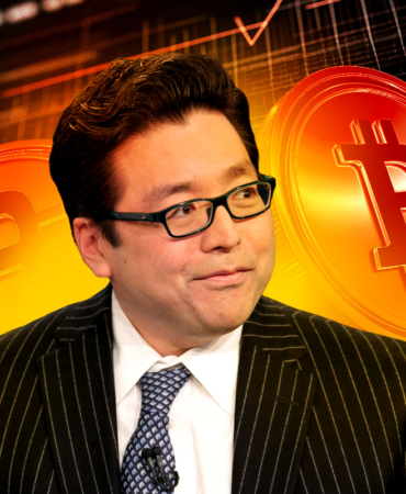 Don’t Get Too Comfortable Bitcoin Could Drop Hard