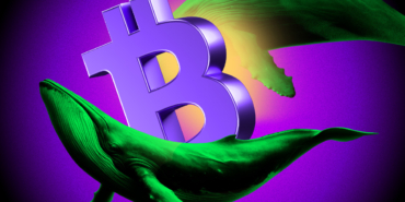 Massive Whale Activity Sparks Bullish Sentiment!