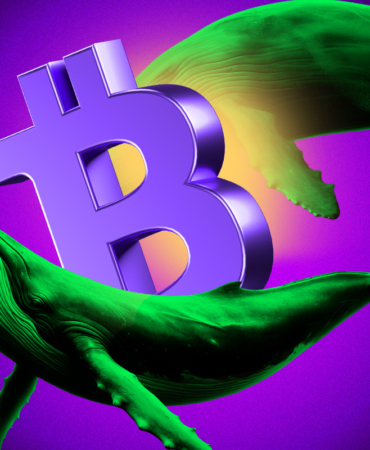 Massive Whale Activity Sparks Bullish Sentiment!